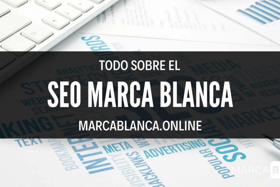 todo sobre Posicionamiento en Buscadores marca blanca